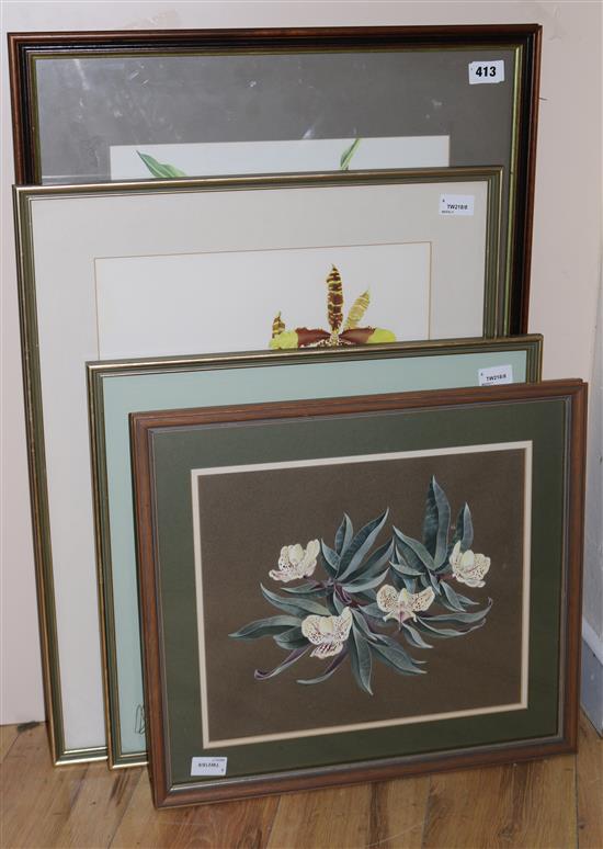 W. V. Franklin Her Majesty, signed and five other original watercolours of orchids largest 21 x 14in.